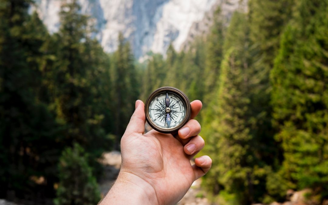 Raine Digital - Decision Making Blog