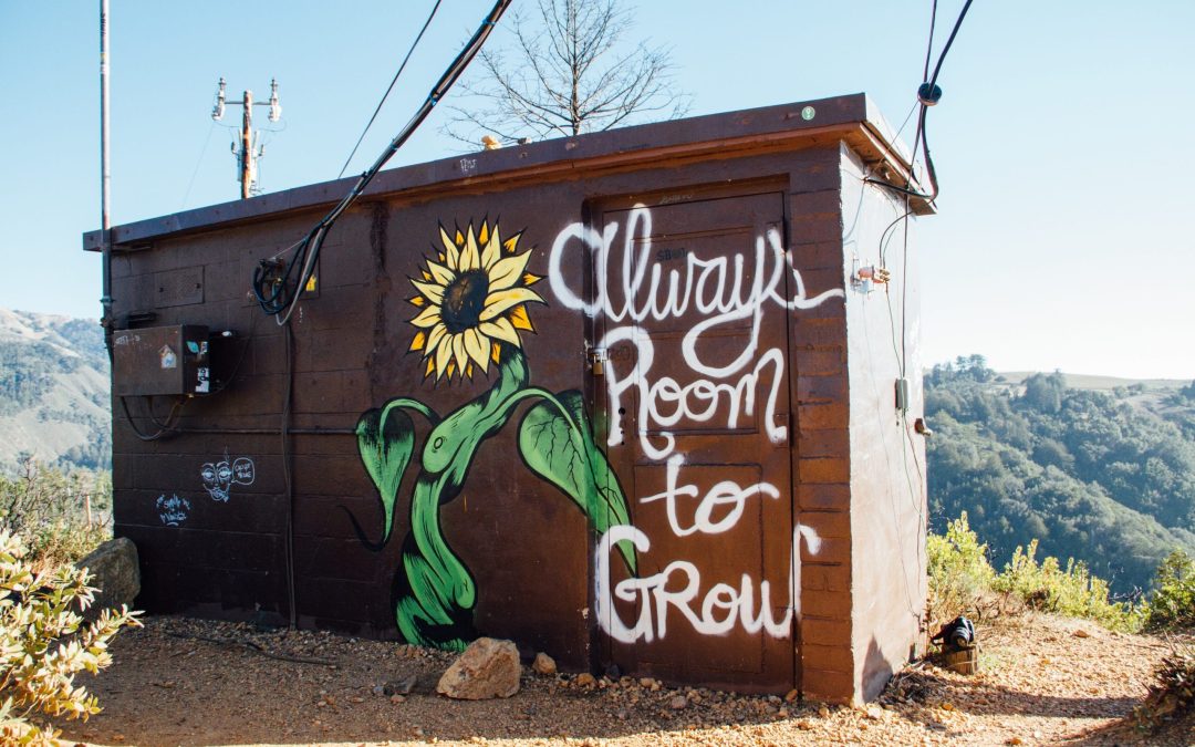 personal growth
