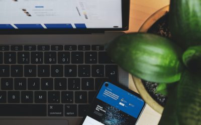 Owning Your Platform: The Cautionary Tale of CarSync, Turo, and Lessons for Small Business Owners